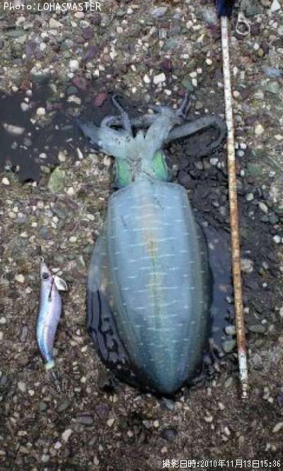 �����ꥤ��