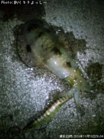 �����ꥤ��