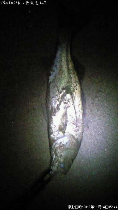 �����Х�