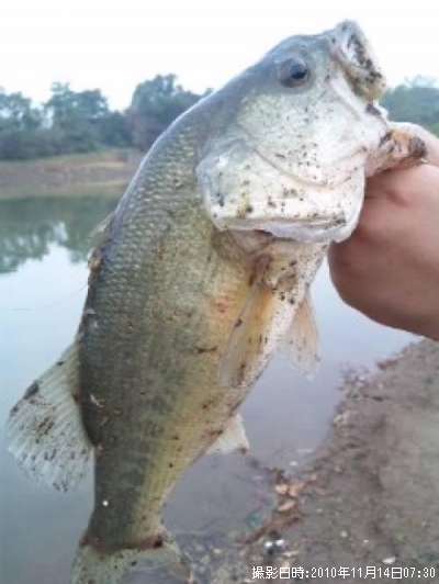 �֥�å��Х�