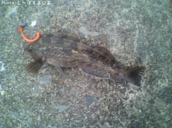 �����ʤ�