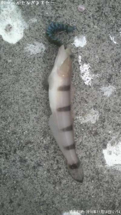 ��奦�����ϥ�