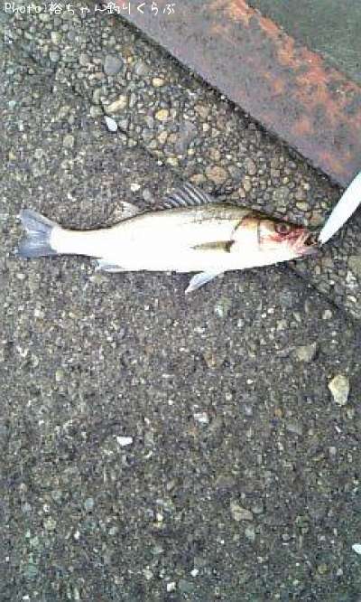 �����Х�