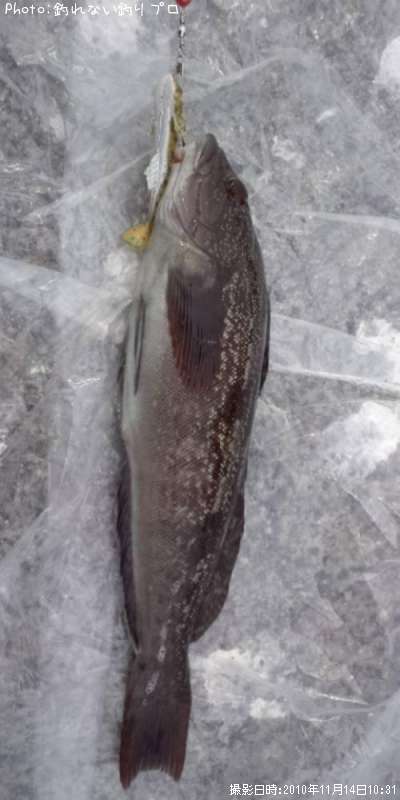 �����ʥ�