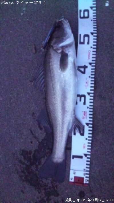 �����Х�