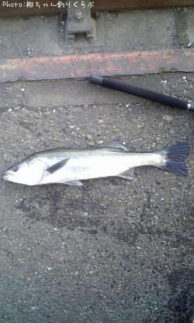 �����Х�