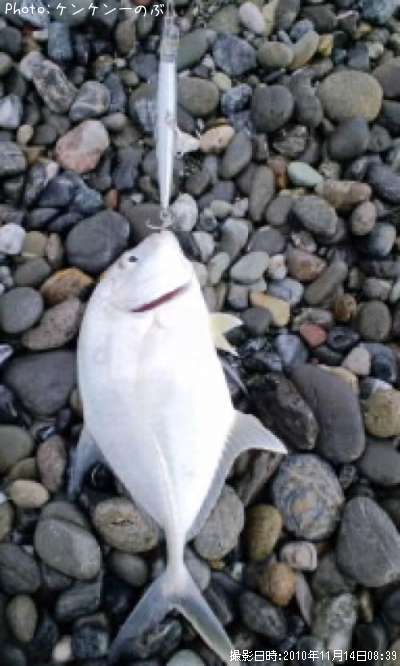 ���Сʥ�å���