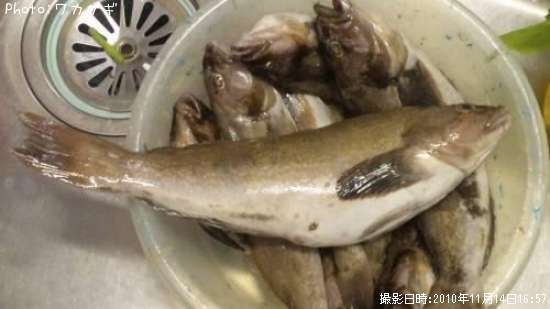 �����ʥ�