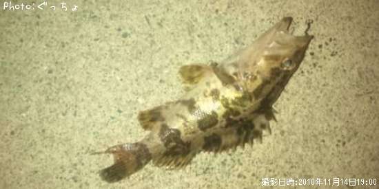 �����Υ���Х�