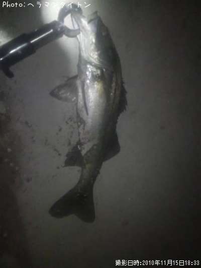 �����Х�