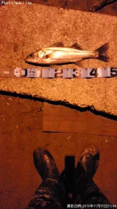 �����Х�