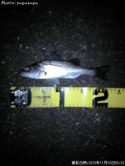 �����Х�