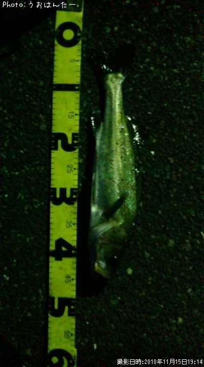 �����Х�