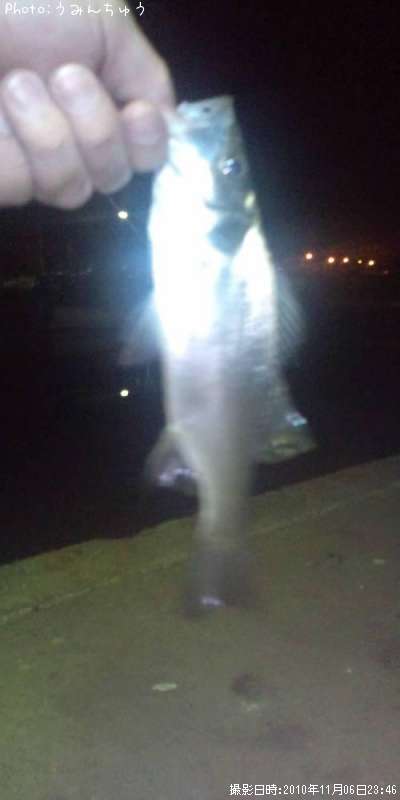 �����Х�