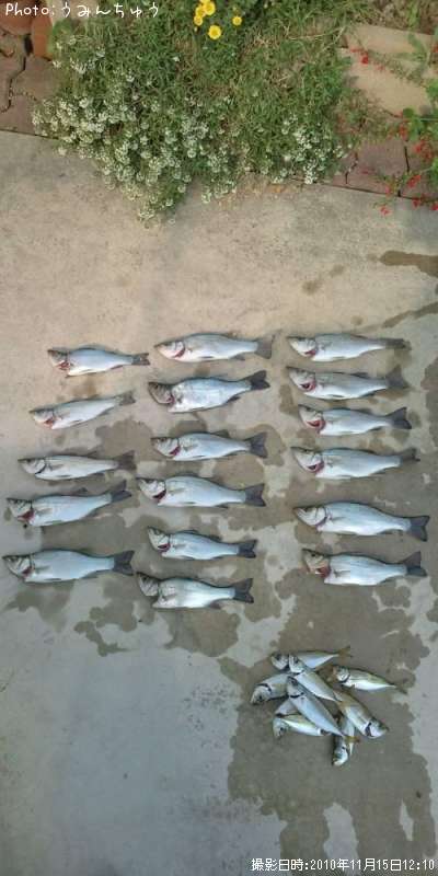 �����Х�