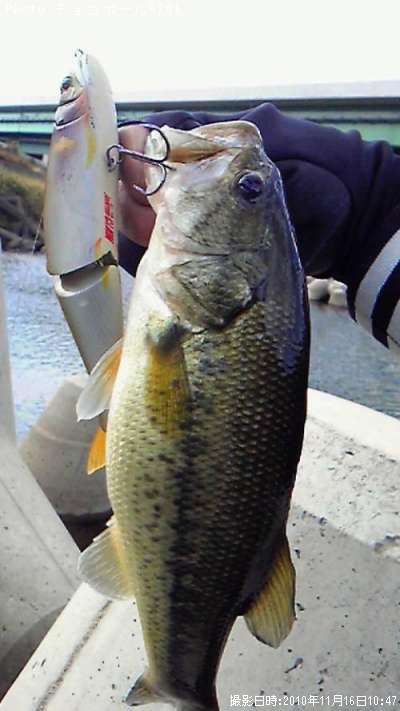 �֥�å��Х�