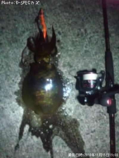 �����ꥤ��