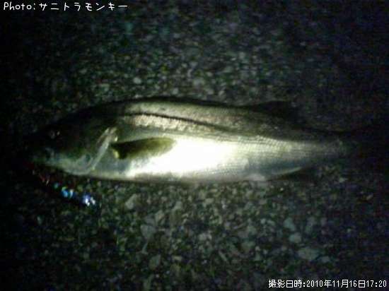 �����Х�