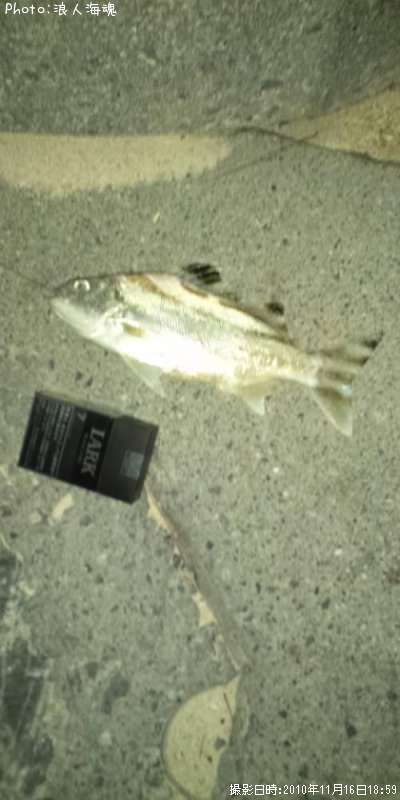 ���塞�ʡ�