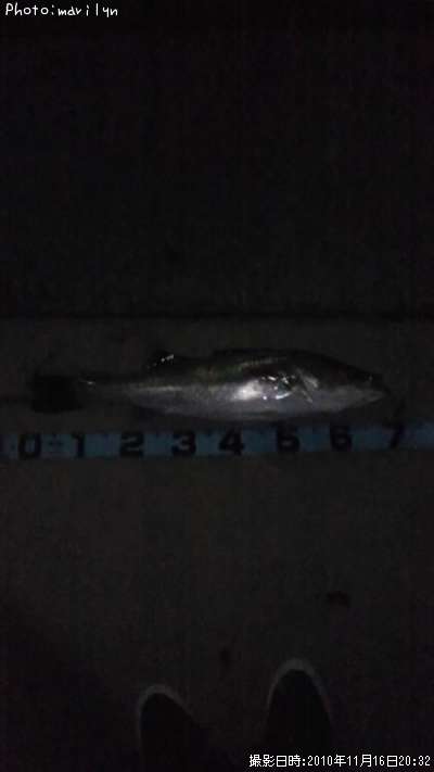 �����Х�