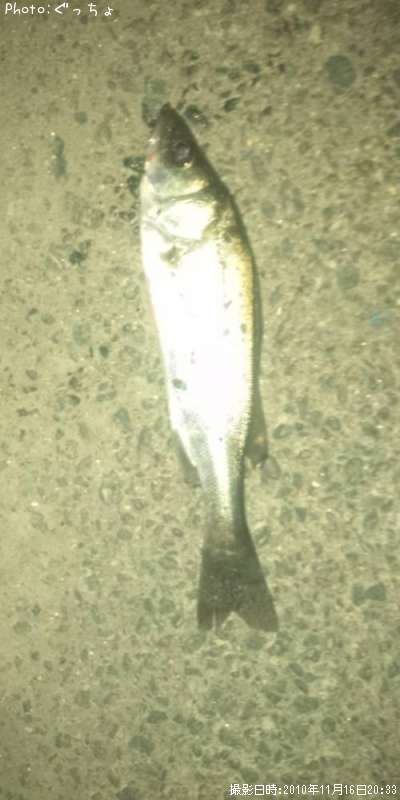 �����Х�