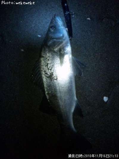 �ҥ饹����