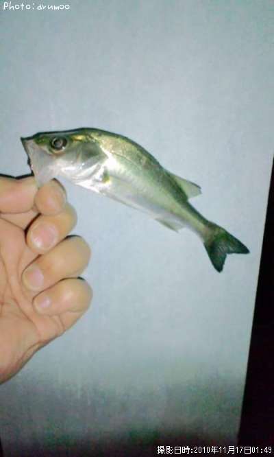 �����Х�