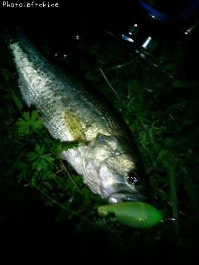 �֥�å��Х�