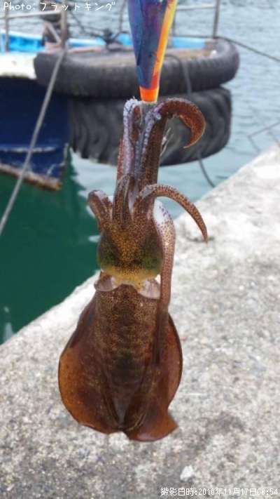 �����ꥤ��