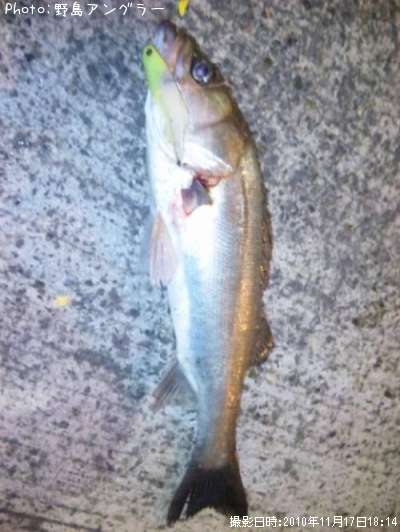 �����Х�