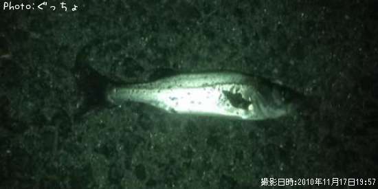 �����Х�