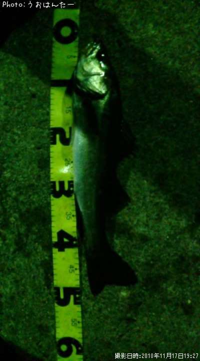 �����Х�