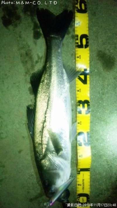 �����Х�