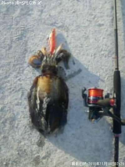 �����ꥤ��