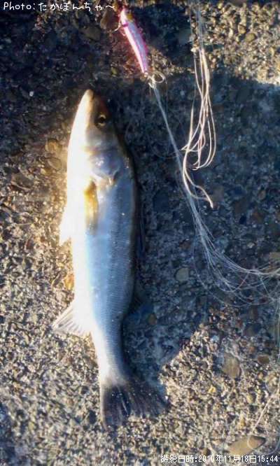 �����Х�