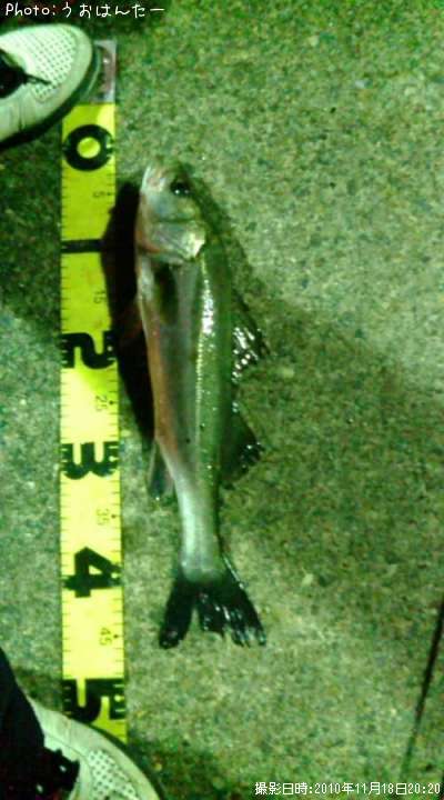 �����Х�