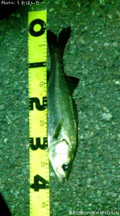 �����Х�