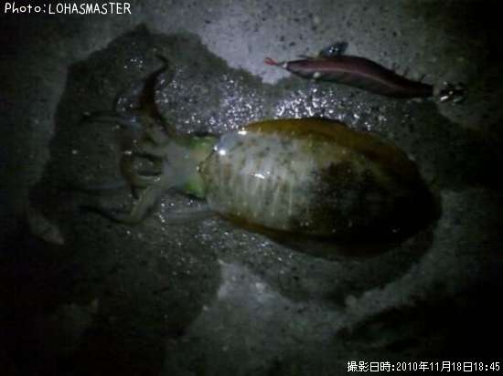 �����ꥤ��