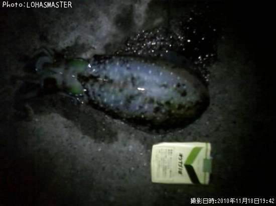 �����ꥤ��