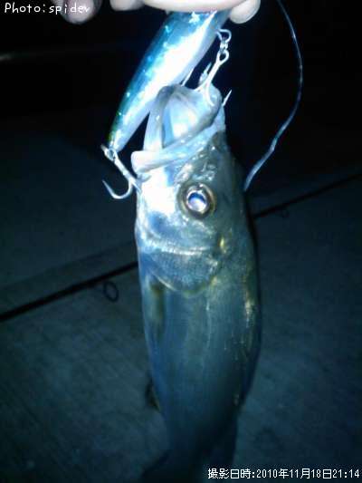 �����Х�