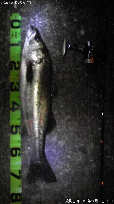 �����Х�