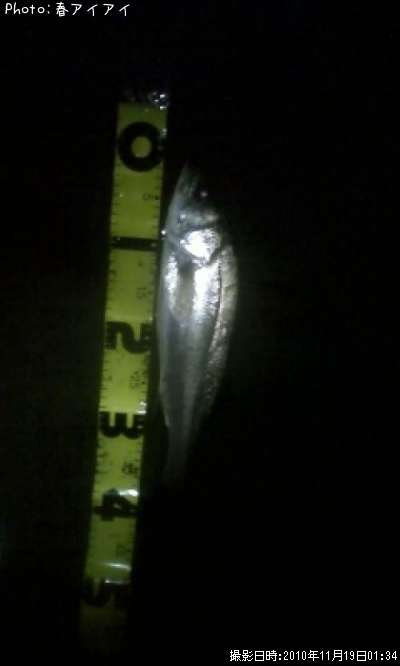 �����Х�