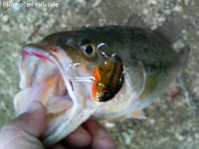 �֥�å��Х�