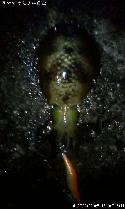 �����ꥤ��