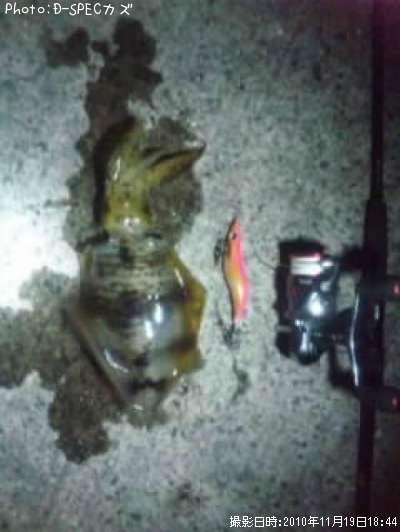 �����ꥤ��