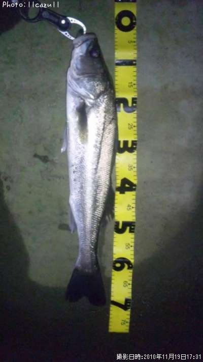 �����Х�