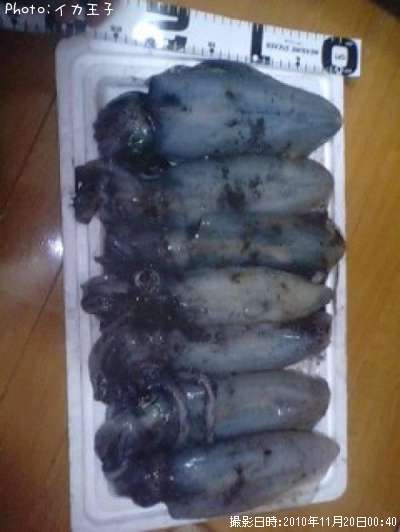 �����ꥤ��