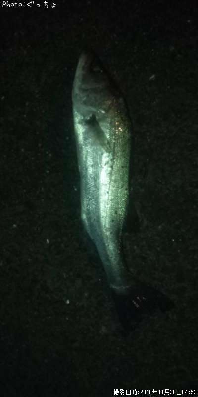 �����Х�