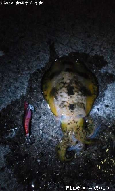 �����ꥤ��