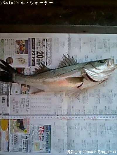 �����Х�